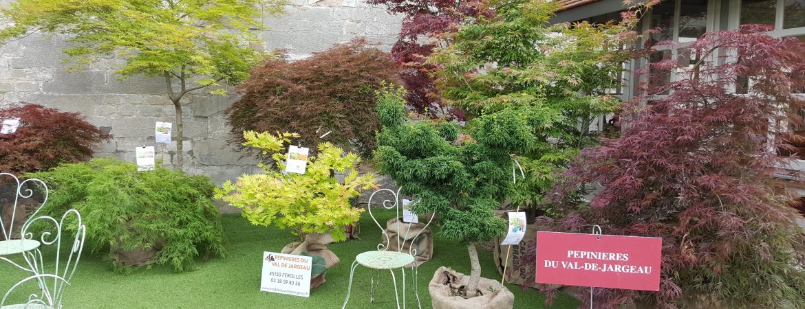 Exposition Jardins, Jardin aux Tuileries à Paris