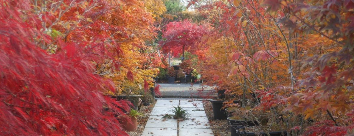 HORAIRES D’AUTOMNE