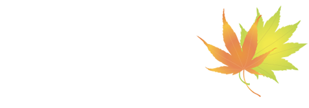 Erable du Val de Jargeau