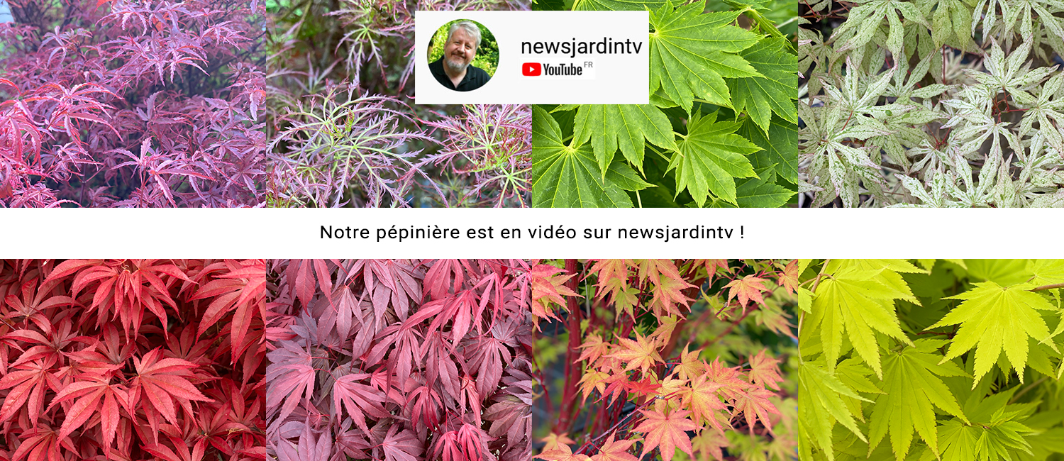 https://www.erableduvaldejargeau.fr/wp-content/uploads/2022/06/SLIDE-NEWS-JARDIN-TV.jpg