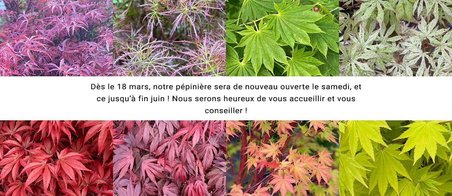 https://www.erableduvaldejargeau.fr/wp-content/uploads/2023/03/SLIDE-REOUVERTURE-SAMEDI-1.jpg