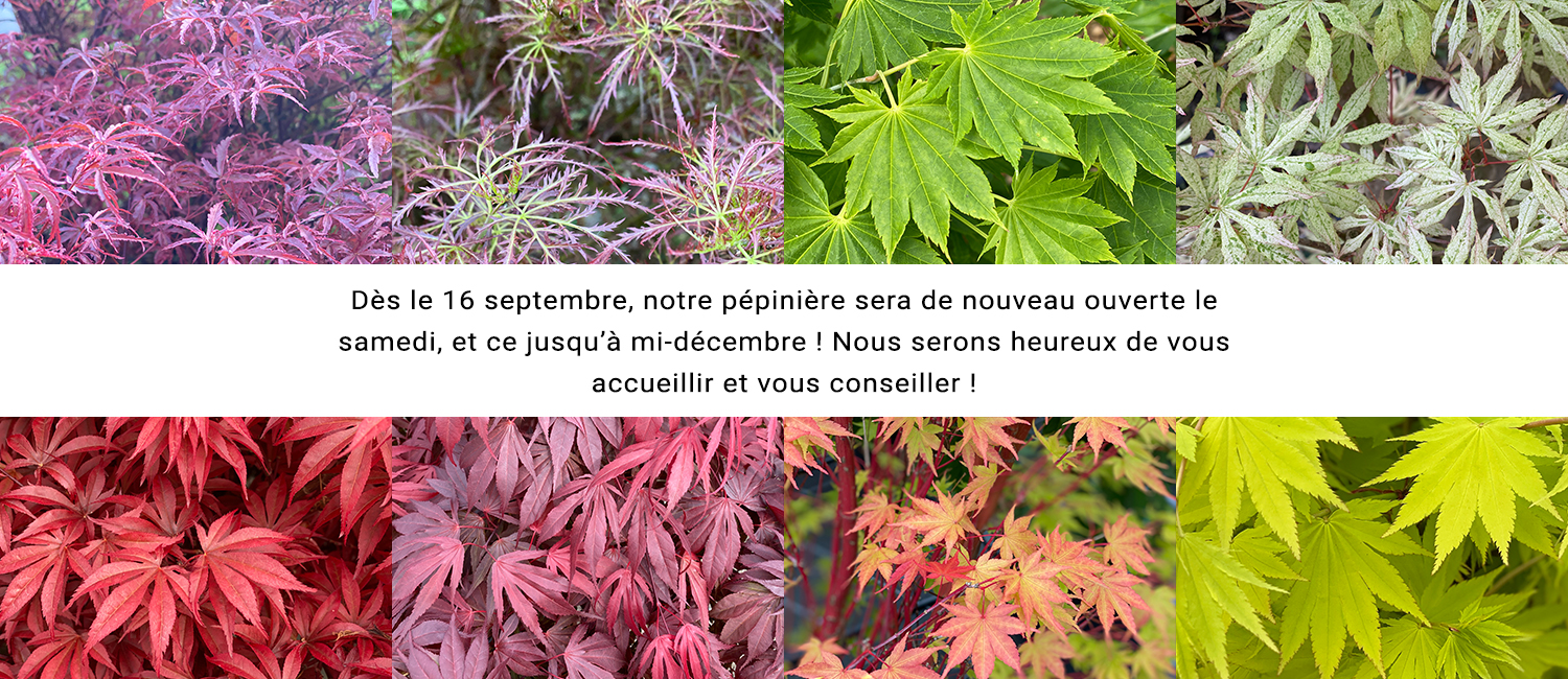 https://www.erableduvaldejargeau.fr/wp-content/uploads/2023/08/SLIDE-REOUVERTURE-SAMEDI-SEPT-2023.jpg