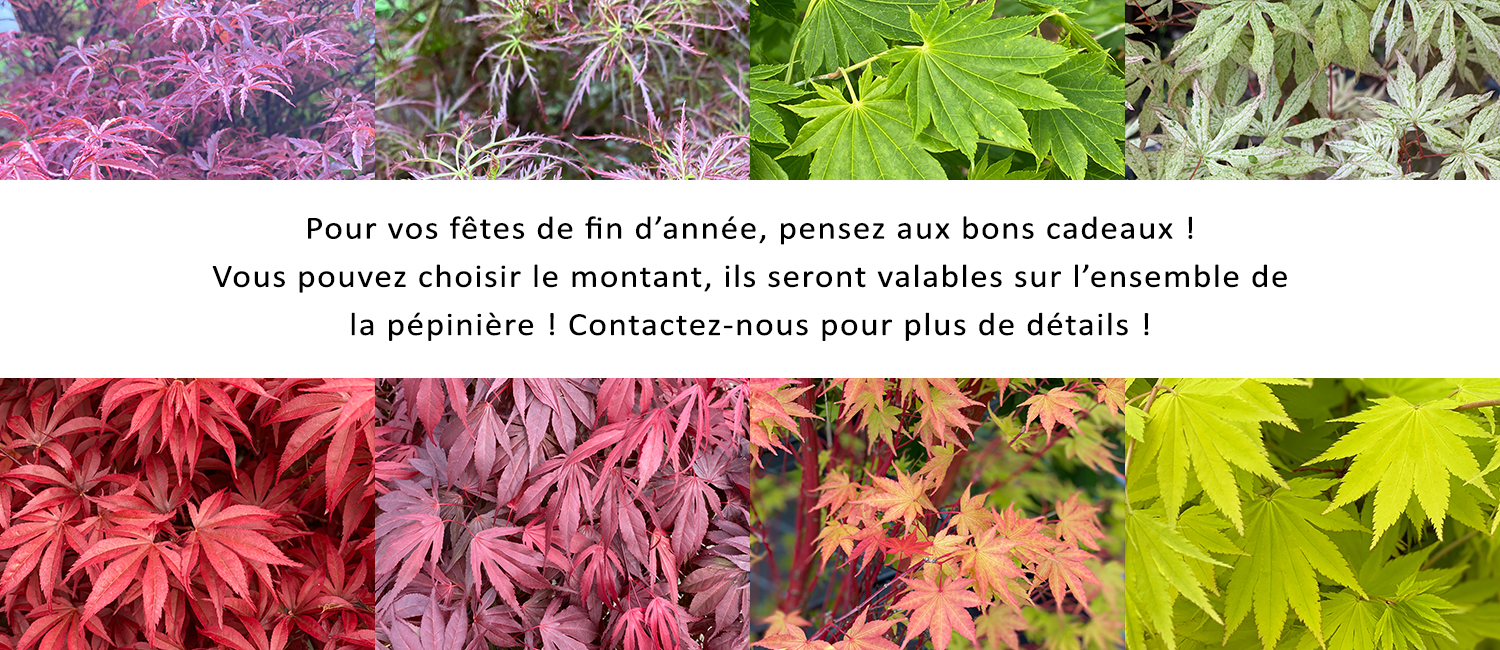 https://www.erableduvaldejargeau.fr/wp-content/uploads/2023/12/SLIDE-BON-CADEAU.jpg