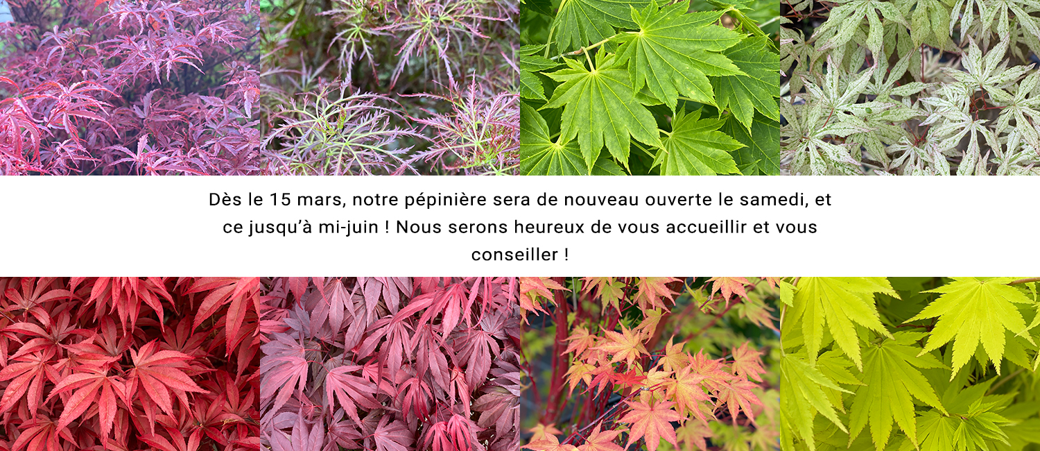 https://www.erableduvaldejargeau.fr/wp-content/uploads/2025/02/SLIDE-REOUVERTURE-SAMEDI.jpg