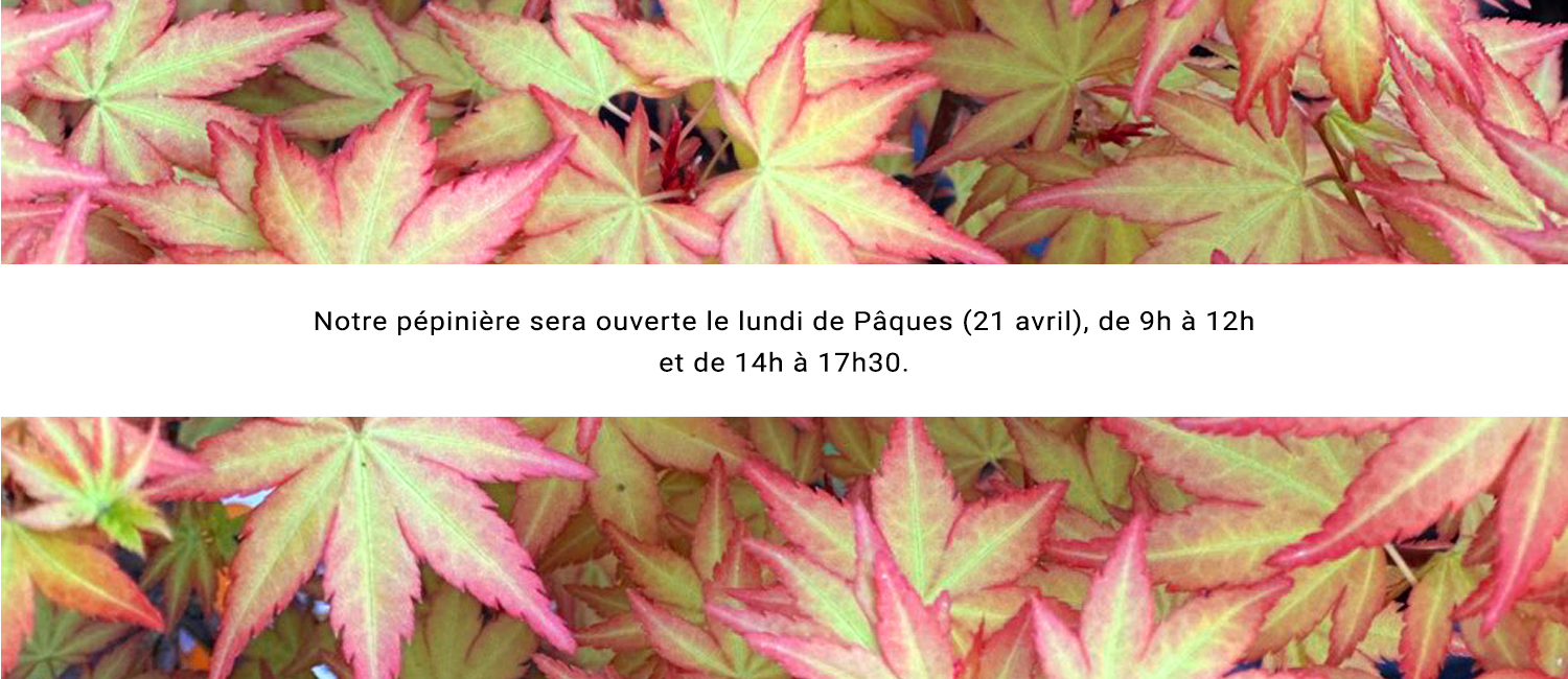 https://www.erableduvaldejargeau.fr/wp-content/uploads/2025/04/SLIDE-LUNDI-PAQUES.jpg