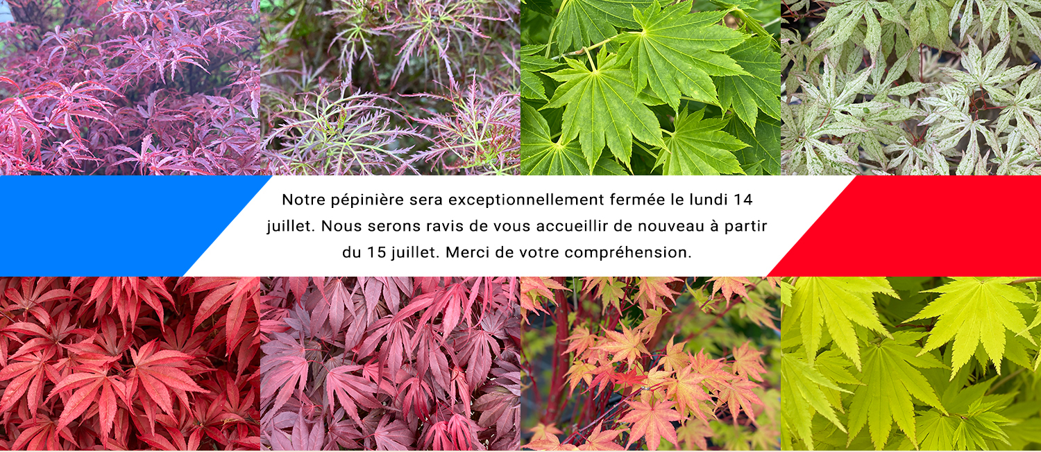 https://www.erableduvaldejargeau.fr/wp-content/uploads/2025/07/14-juillet.jpg