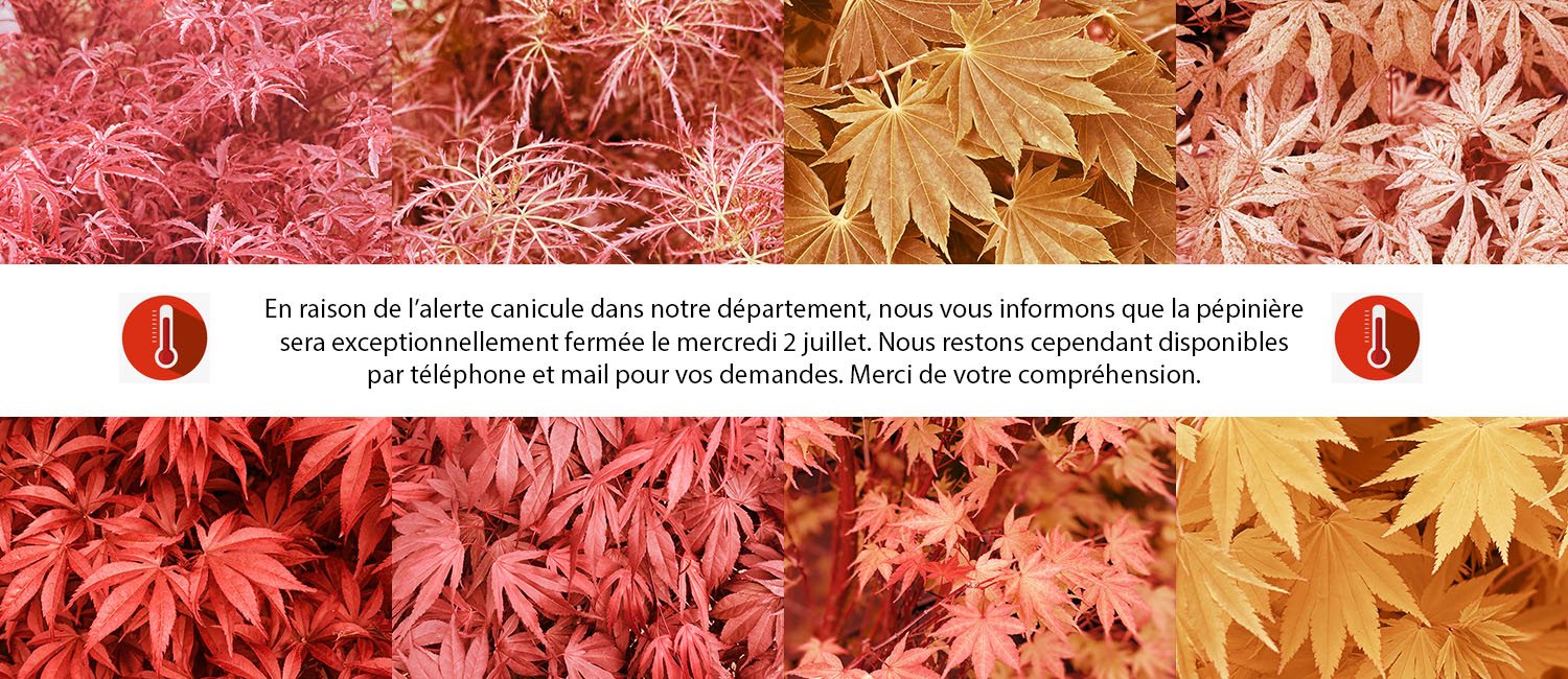 https://www.erableduvaldejargeau.fr/wp-content/uploads/2025/07/CANICULE.jpg