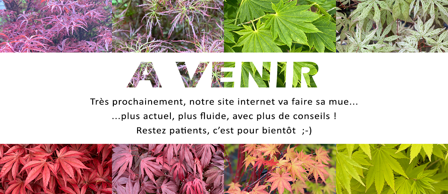 https://www.erableduvaldejargeau.fr/wp-content/uploads/2025/08/FUTUR-SITE.jpg