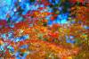 Diapo Acers